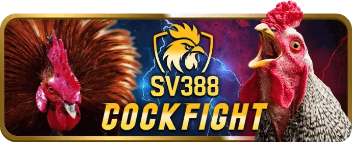 Slot 3D và Chủ Đề Đặc Biệt 33win01 login